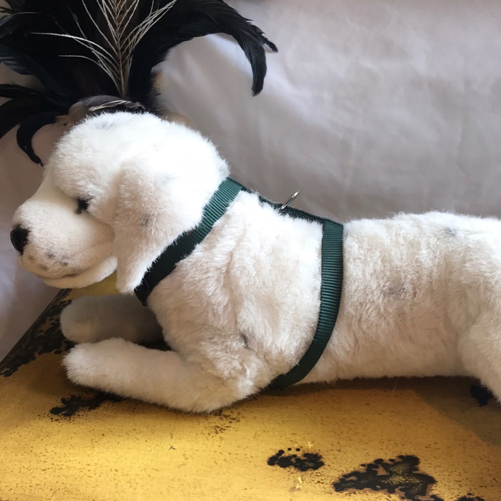 Adjustable Dog Harness